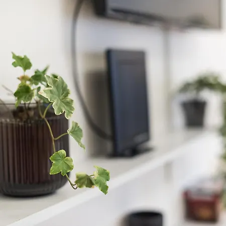 Modern 200m From Acropolis 100mbps Netflix *