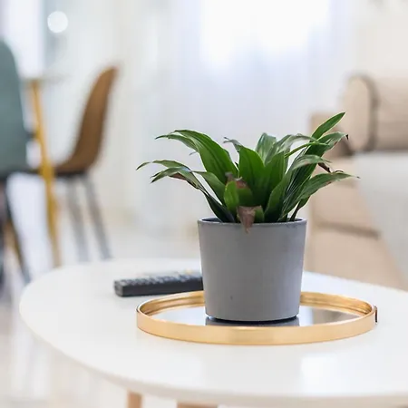 Apartment Modern 200m From Acropolis 100mbps Netflix Athens